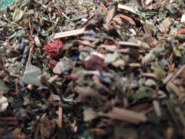 Ernährungsberatung Pferd