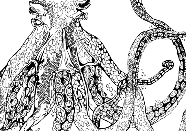 B&W A3 print - octopus