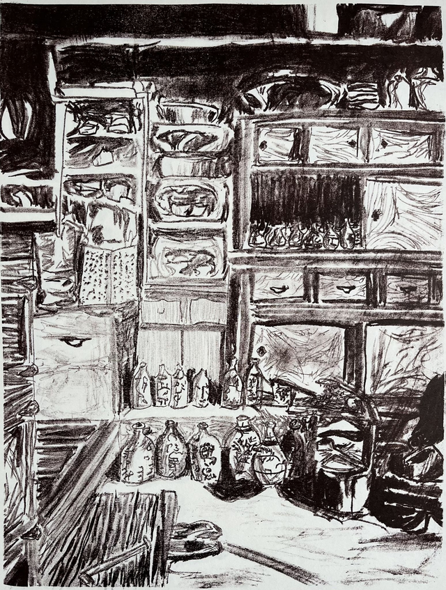 Geisha House in Kanazawa I