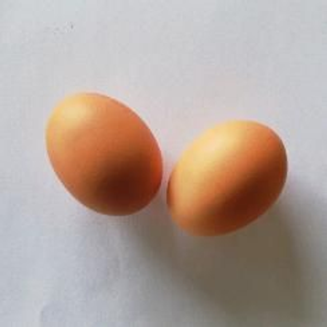 Braune Eier -L- 360 St.