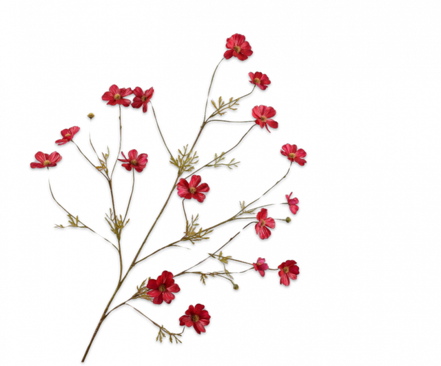 Silk-Ka Cosmos Tak Rood 104cm RT