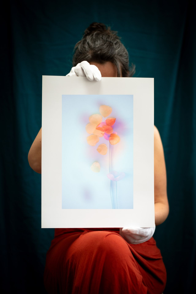 Collection du printemps * 8