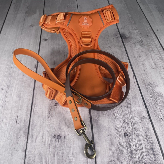 Burnt Orange & Espresso Waterproof BioThane® Lead