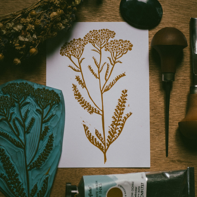 Linogravure - Achillée Millefeuille - A6