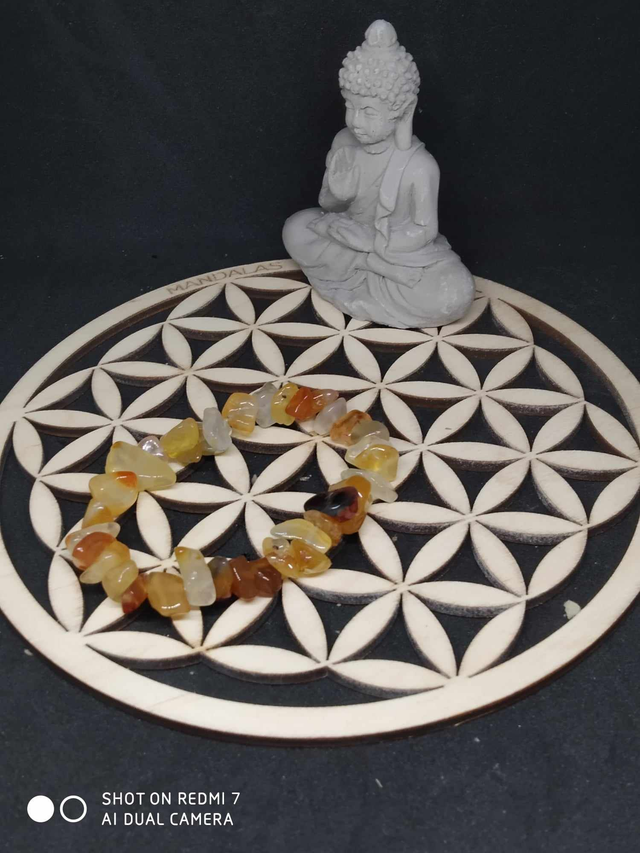 Bracelet cornaline chips 