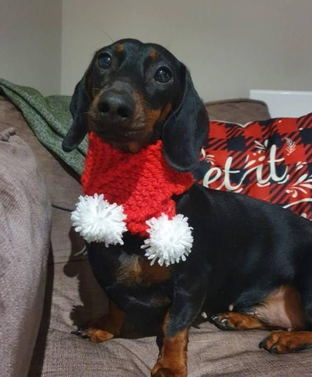 Santa scarves and snoods