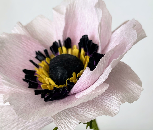 Anémone "Selma" avec son vase artisanal offert