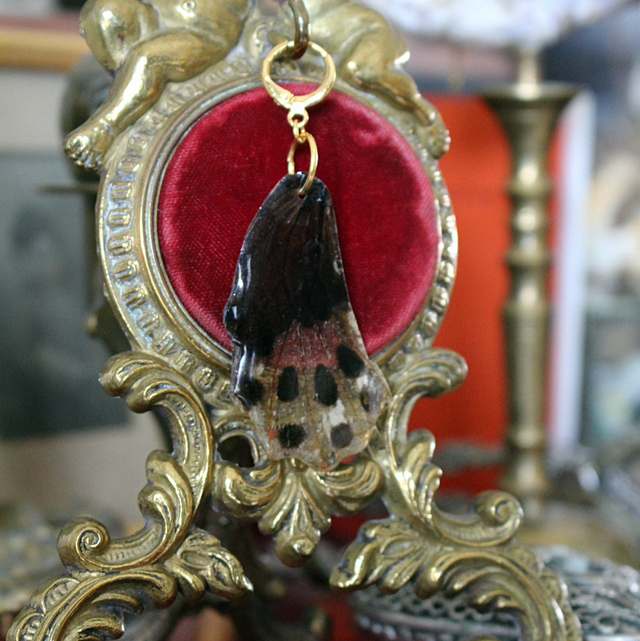 Monoboucle aile de papillon