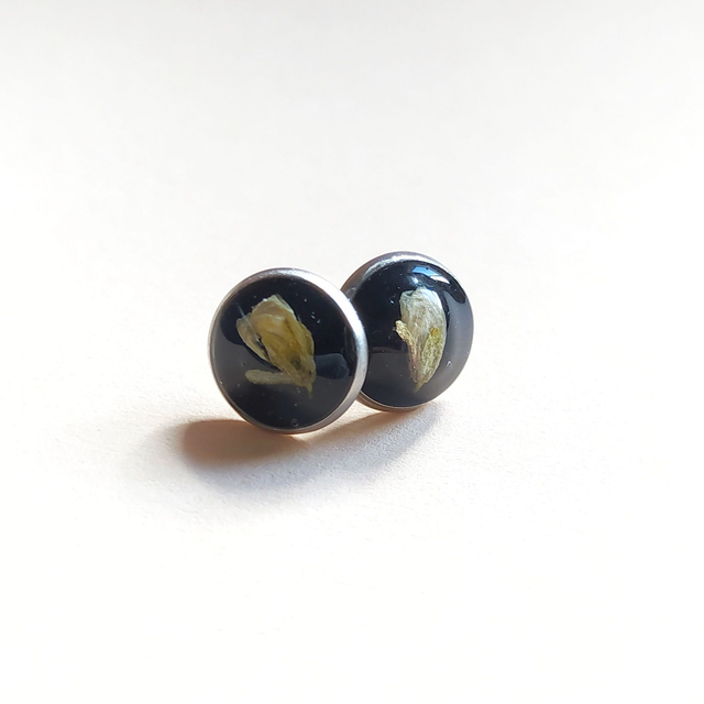 Puces d&#039;oreilles Élégance