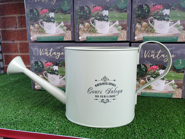 Metal Vintage Watering Can Planter - Indoor Sage