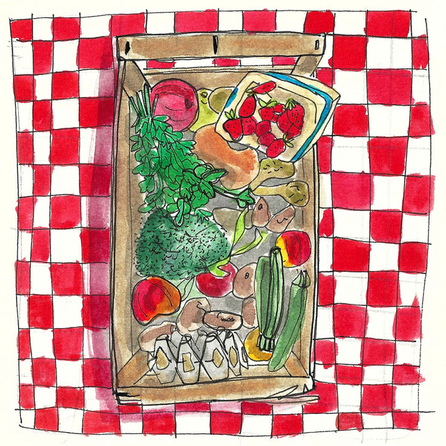 Cagette printanniére