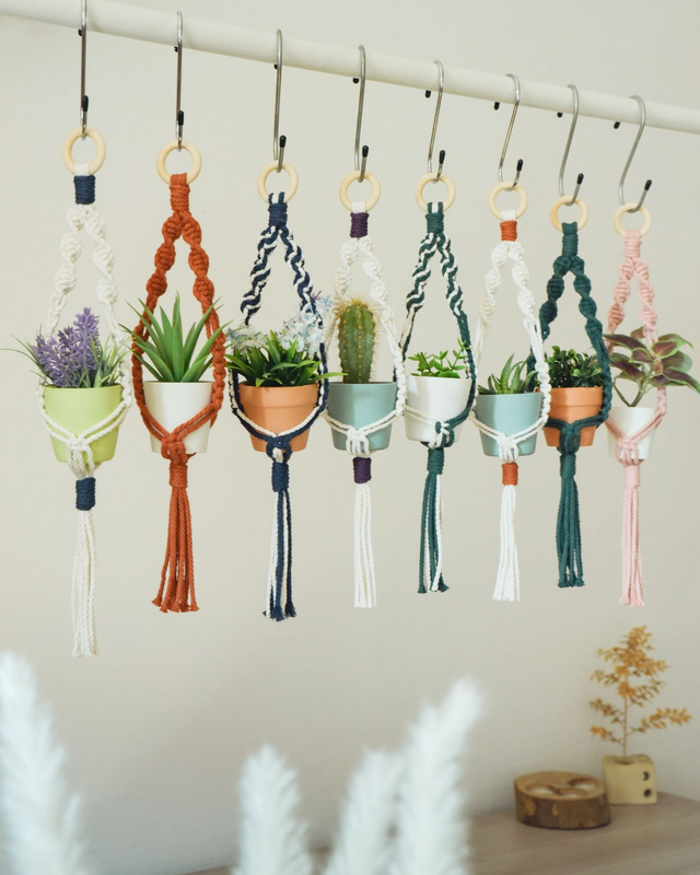 𝑀𝑖𝑛𝑖 𝑃𝑜𝑟𝑡𝑎 𝑃𝑖𝑎𝑛𝑡𝑒