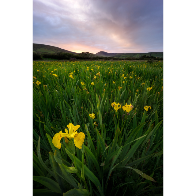 Ventry