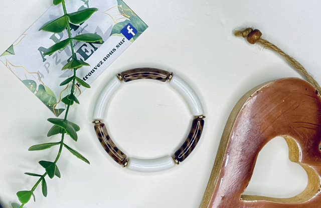 POURQUOI PAS Blanc Léo Hématite