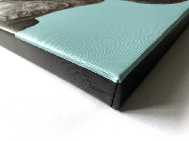 ‘Elephant’ Canvas