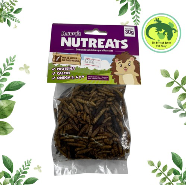 Mix Mosca Soldado Naturale 