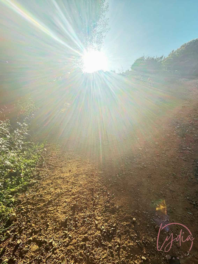 Sur les sentiers de Sagone, le soleil de Corse