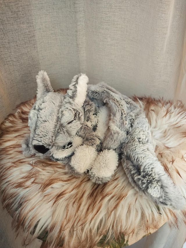 Louveteau gris fourrure luxe