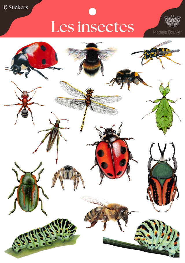 Planche stickers insecte