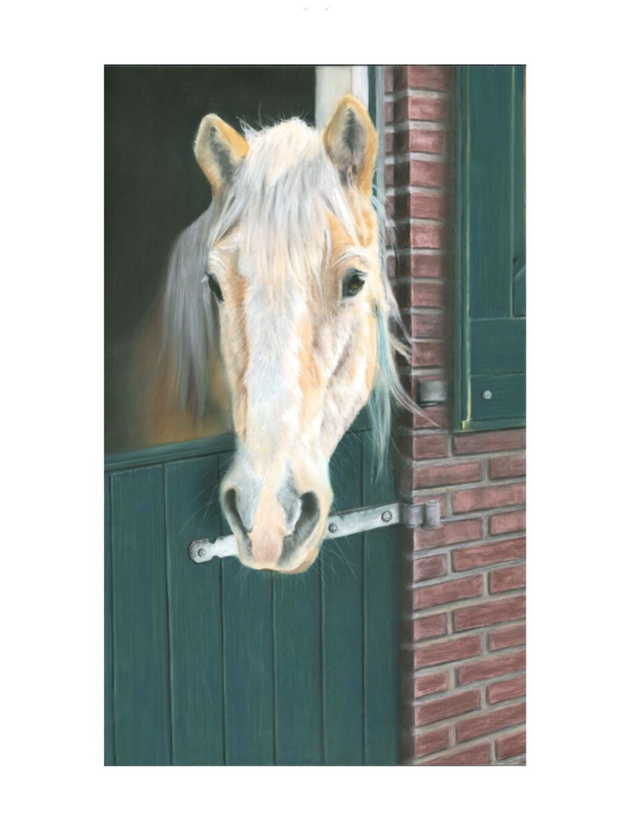 Print (large) 'SOFIE' (Olde Manegepeerd)