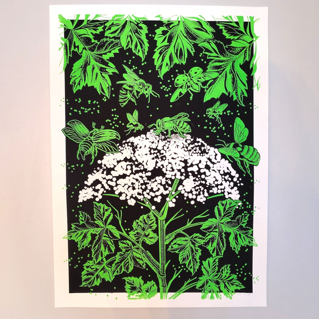 Plakat Bärenklau von Opak