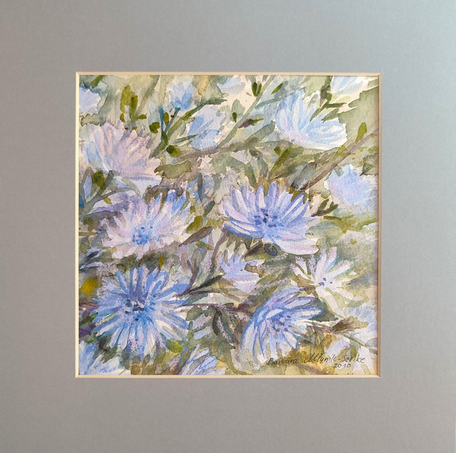 Cykoria podróżniczek, 30x30 (20x20 w świetle passe-partout) akwarela 2010