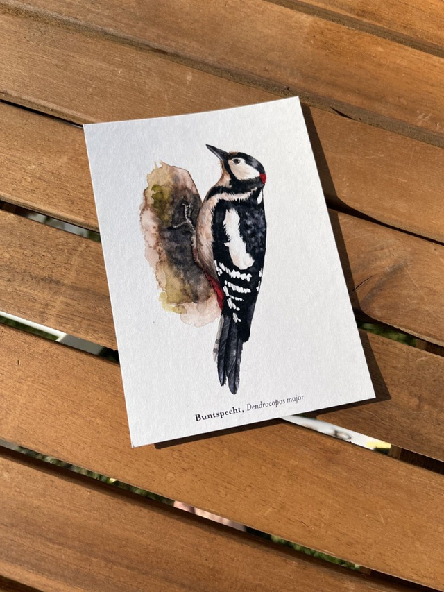 Postkarte Vogel "Buntspecht"