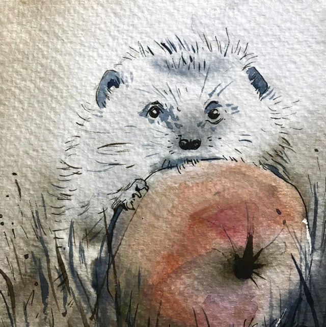 Képeslap, süni almával