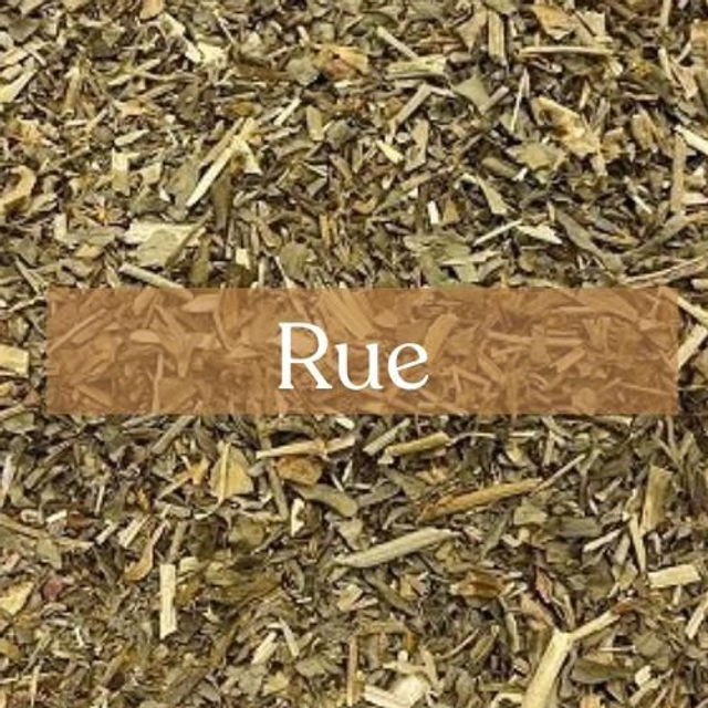 Rue (Herb of Grace) | 30g Protective Curio | Ancestral Wisdom &amp; Ward Magic