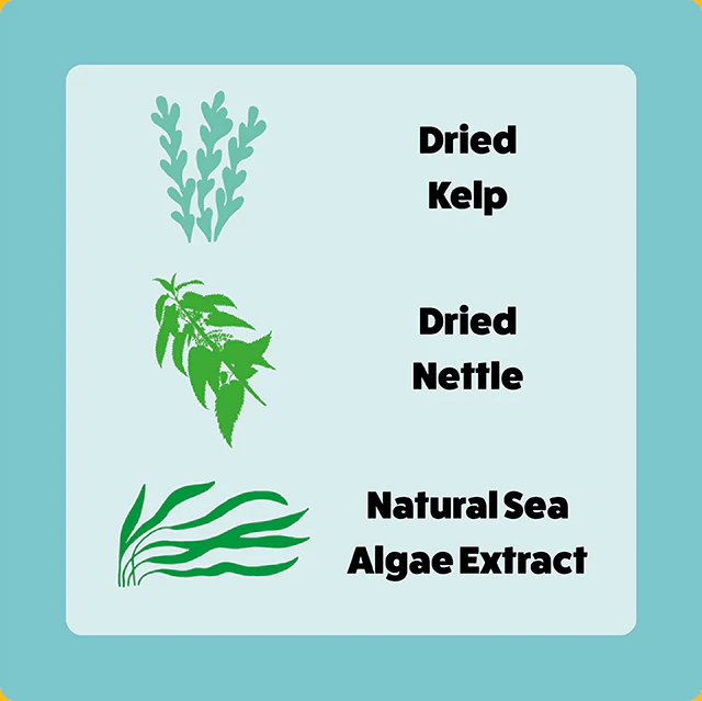 Axels - Goat Happy Bones