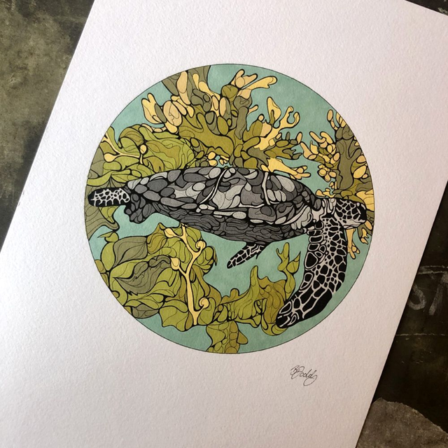 Hand-coloured print - sea turtle - green