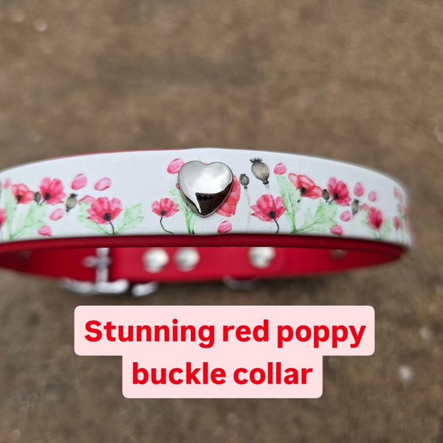 Red poppy 2 layer biothane collar 19mm x to fit  neck 16-18.5 inches 