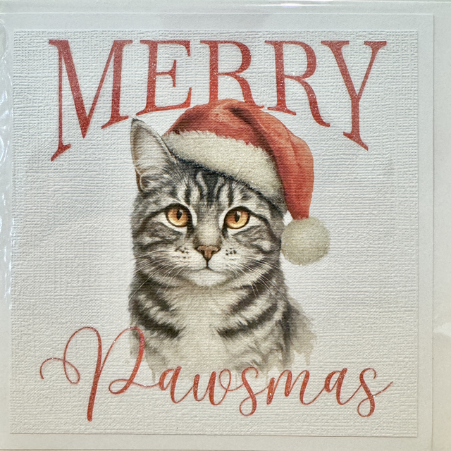 Silver Tabby Cat Pawsmas Card