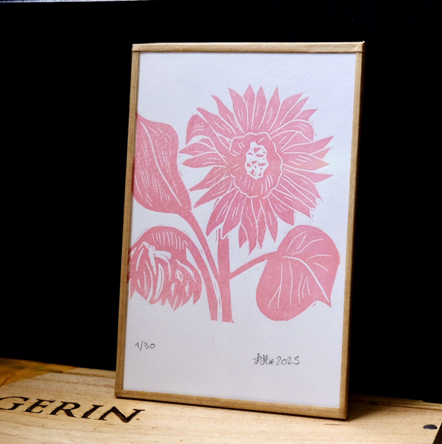 Tournesol rose - petite estampe 10x15 