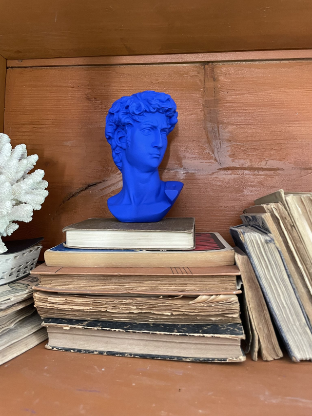 Buste petite tête de David