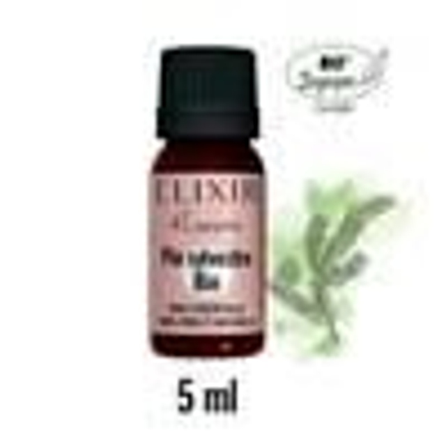 H E Pin Sylvestre Bio 