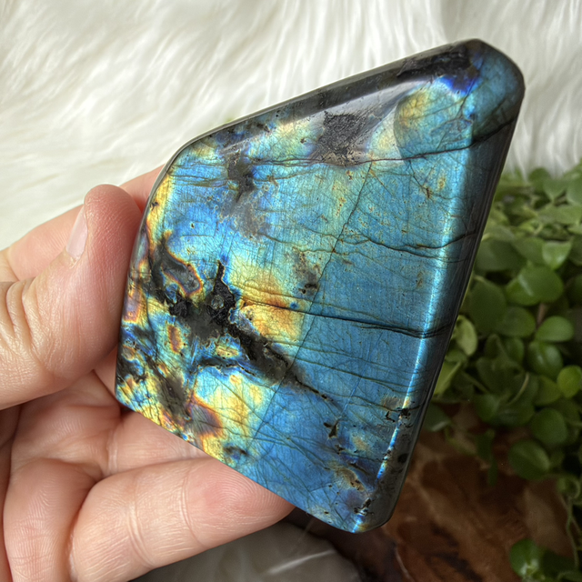 Labradorite freeform strong flash 
