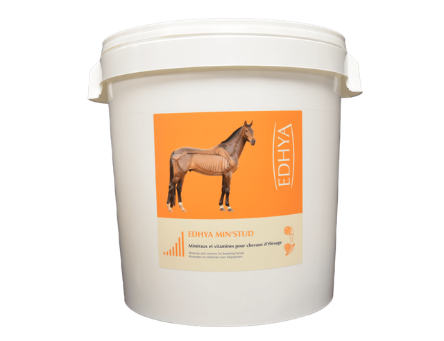 Edhya MIN STUD SEAU 25 kg
