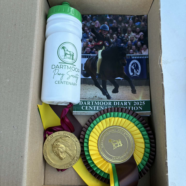 DPS Christmas Bundle 1