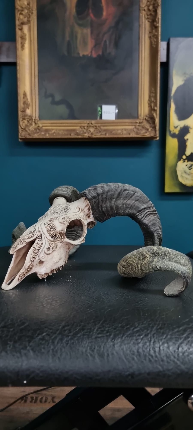 Widderschädelreplikat zum aufhängen