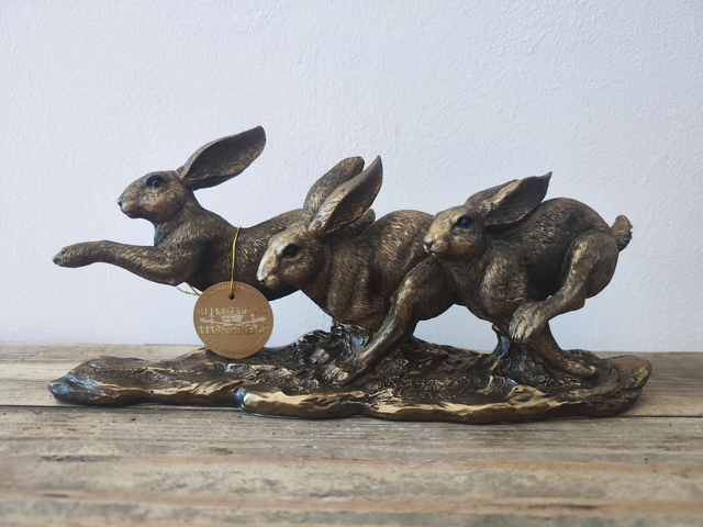 Reflections 3 Running Hares