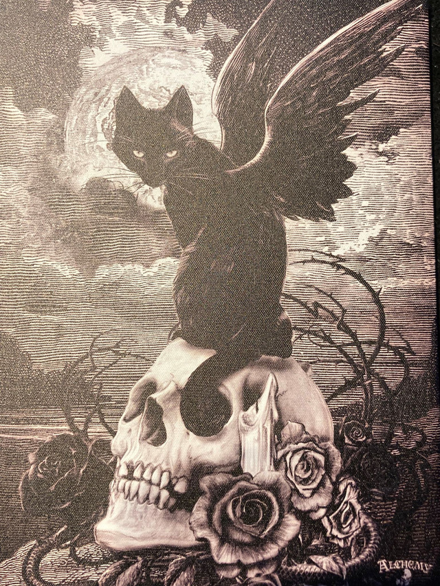 Anne Stokes &quot;9 lives of poe&quot; Canvas