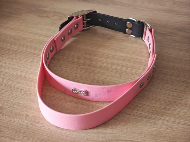 Collier biothane avec poignée intégrée