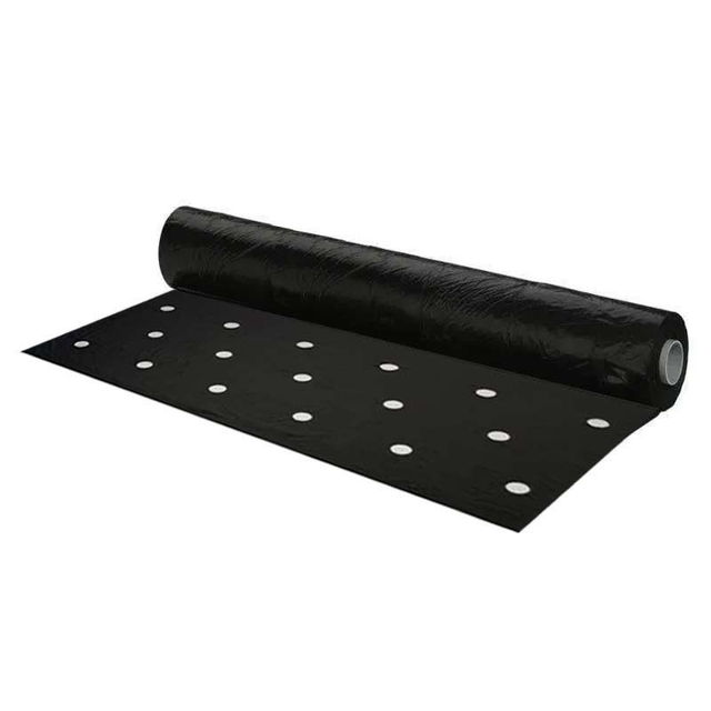 Film de Paillage Perforé pour Salade – 1,5m (/m)