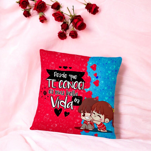 ❤️ CUSCINO PERSONALIZZATO ❤️ (1)