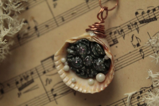 Coquillage Métamorphe- n°13