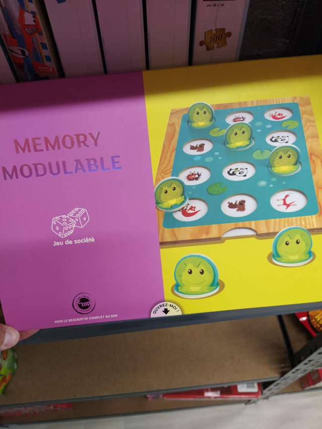 MEMORY MODULABLE