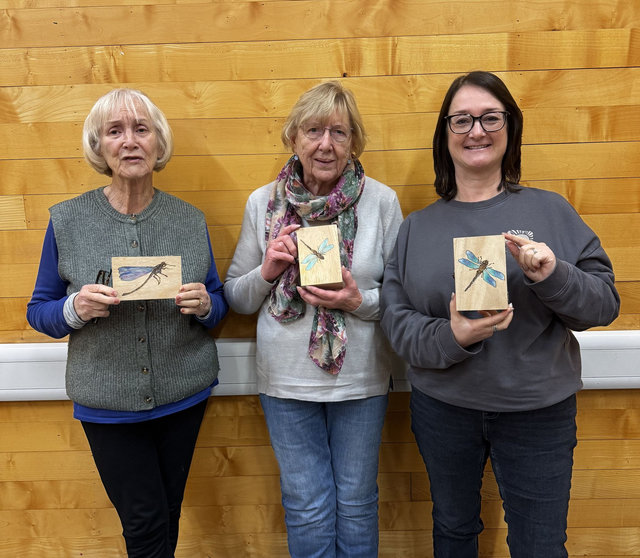 Progression Workshops  Series Ecclesall Woods deposit