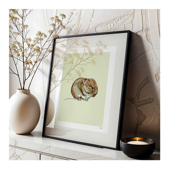 &#039;Vole&#039; art print