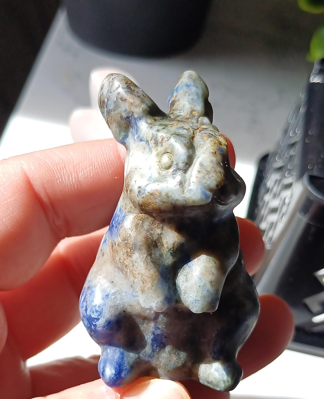 Scar Sodalite Bunny Rabbit